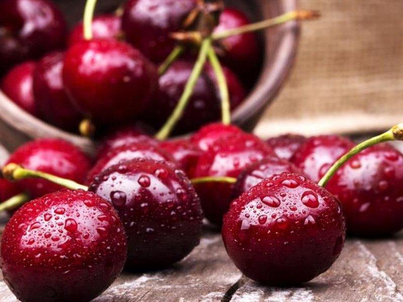 Вишня купить саженцы из питомника в Новокузнецке